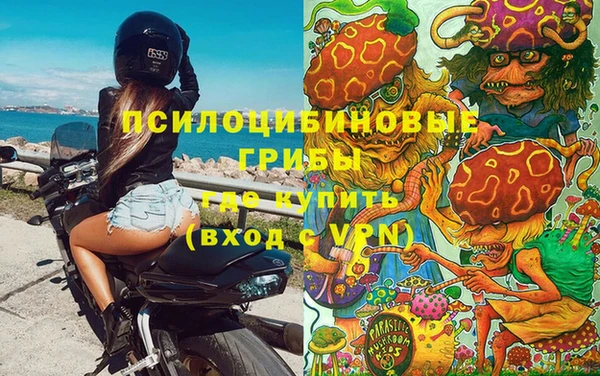 метадон Алексеевка