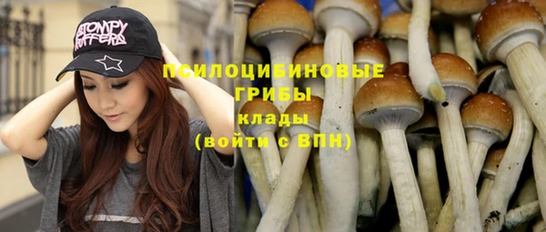 дживик Алзамай